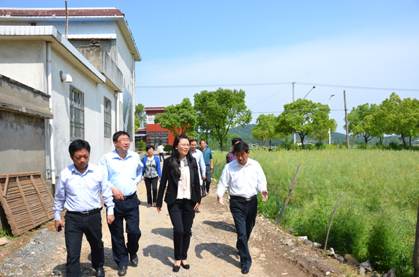 在郊区铜山镇调研.jpg